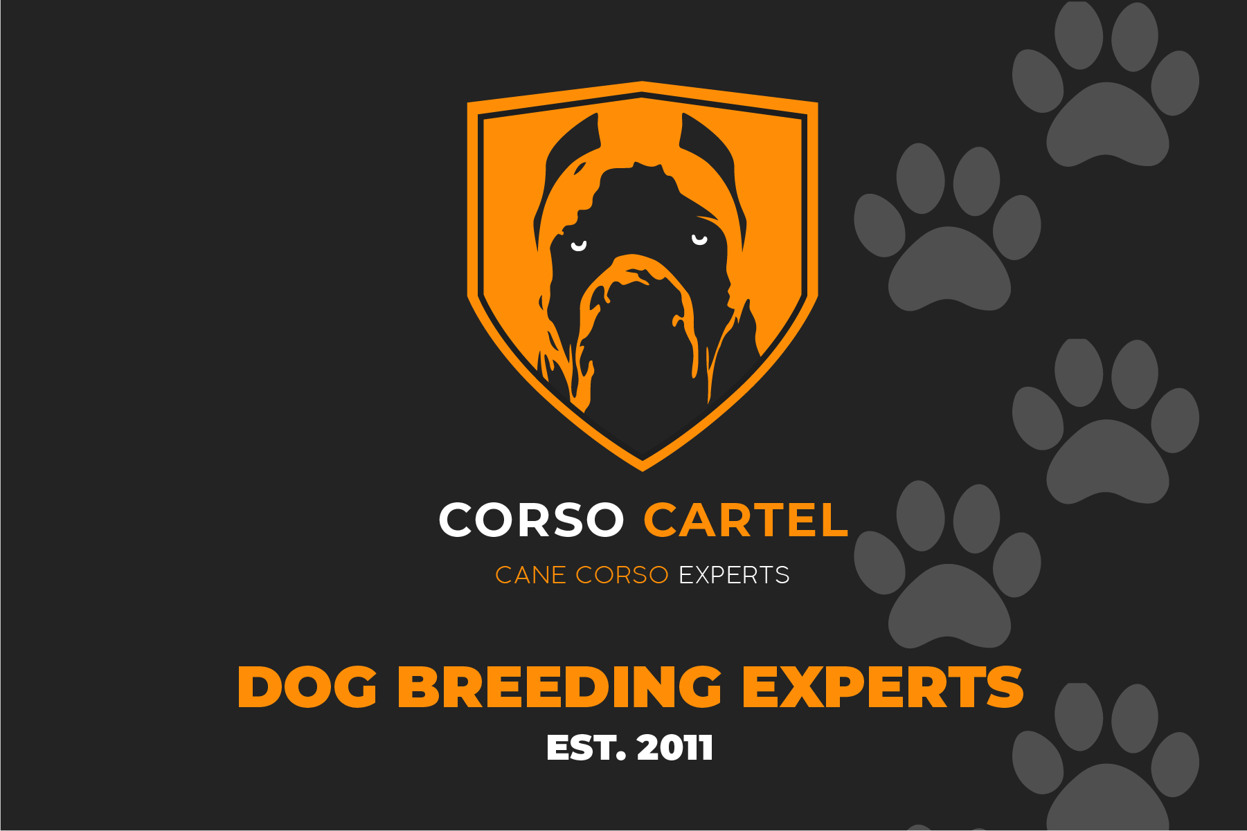 CorsoCartel Banner