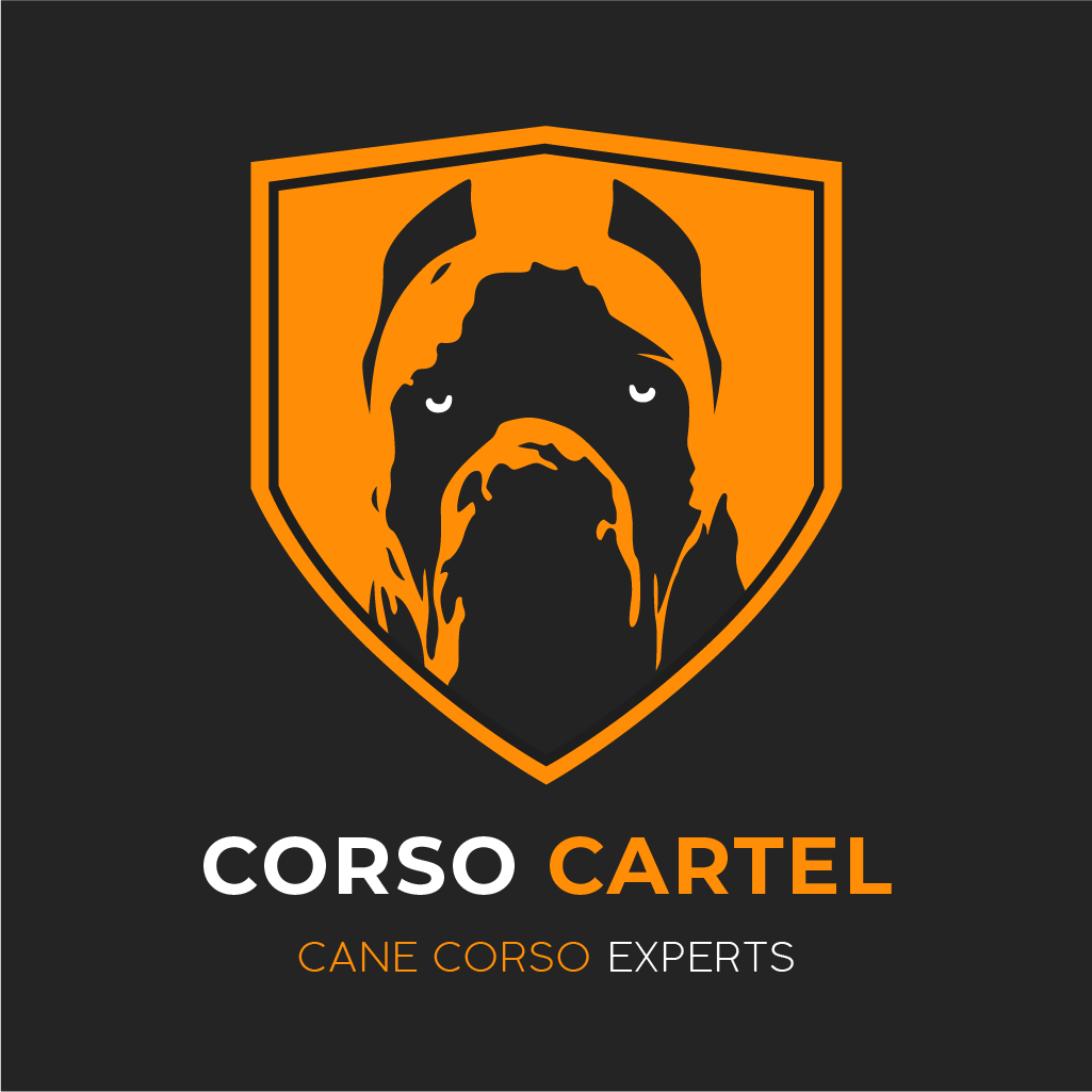 CorsoCartel Post