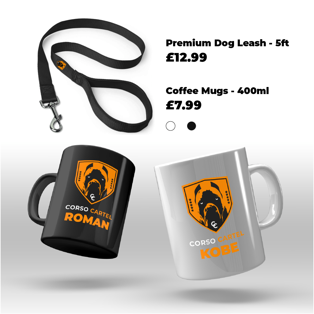 CC Mugs