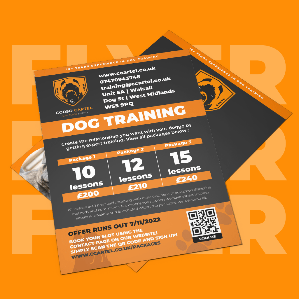Flyer