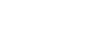 Alpixel Logo white