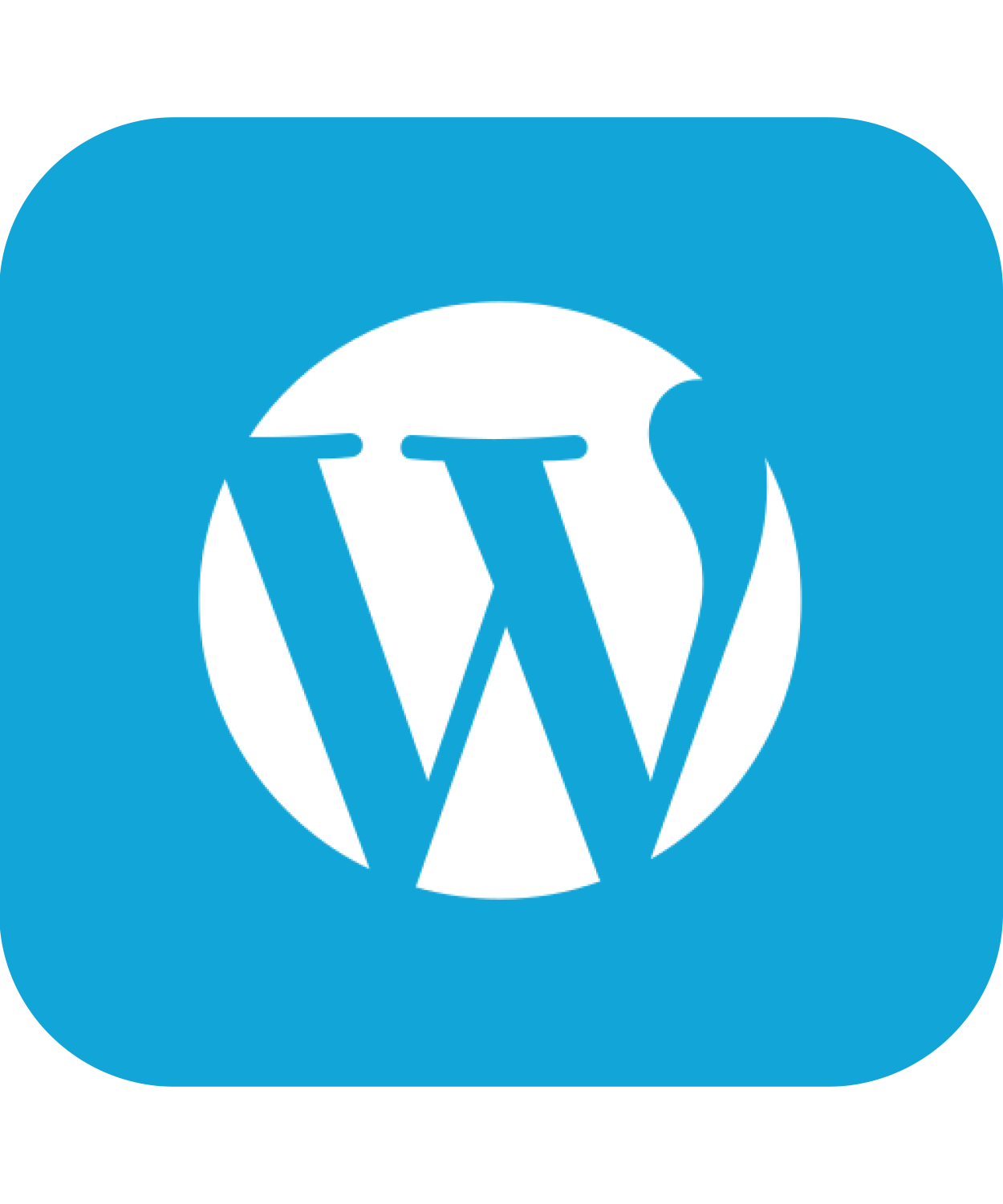 Wordpress Logo